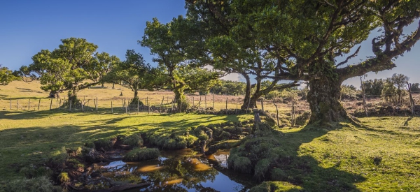 Conscious Travelling auf Madeira: Im Einklang mit Natur und Kultur 